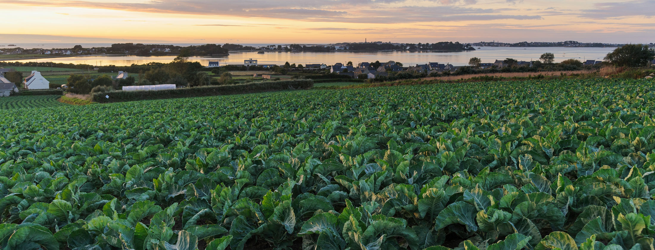 Décarboner l'économie du Pays de Morlaix